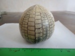 Ёжик echinocorys