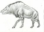 Энтелодон (Entelodon sp.).Карандаш.