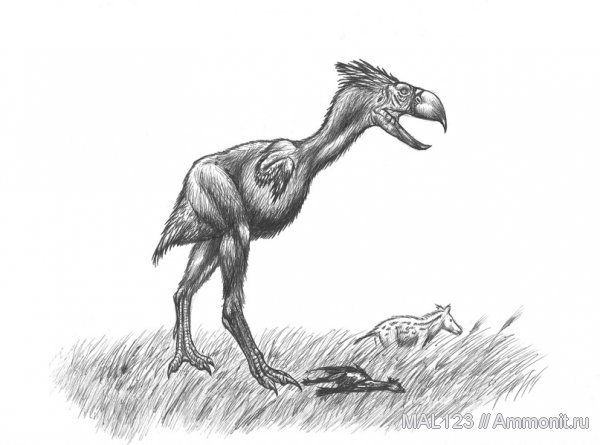 птицы, реконструкция, Gastornis