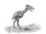Гасторнис( шариковая  ручка)
