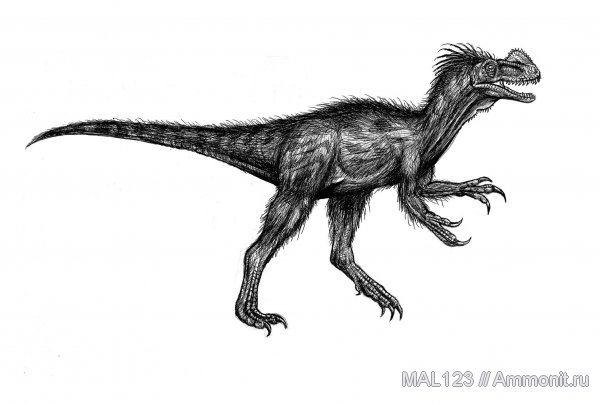 юра, Россия, юрский период, тираннозавры, бат, Kileskus aristotocus, Kileskus, Bathonian, Jurassic
