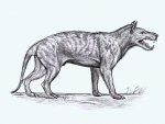 Hyaenodon horridus (ручка)