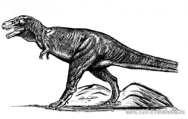 динозавры, тираннозавры, тероподы, Tyrannosaurus rex, Tyrannosaurus, Tyrannosauridae