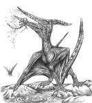 Pteranodon ingens поймал водную змее-ящерицу Adriosaurus microbrachis на мелководье