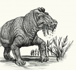 Детеныш Estemmenosuchus uralensis