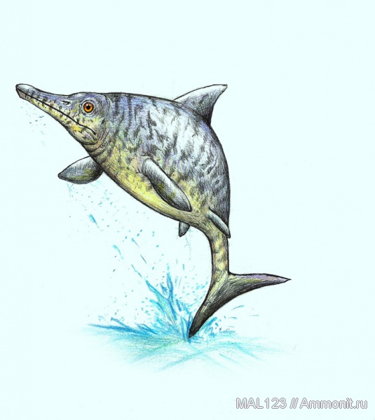 рептилии, ихтиозавры, диапсиды, Ophthalmosauridae, Ophthalmosaurus