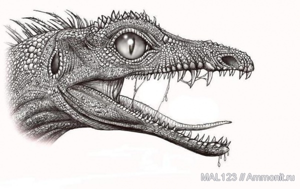 синапсиды, Mesenosaurus