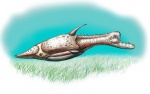 Pteraspis stensioei