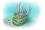 Wiwaxia
