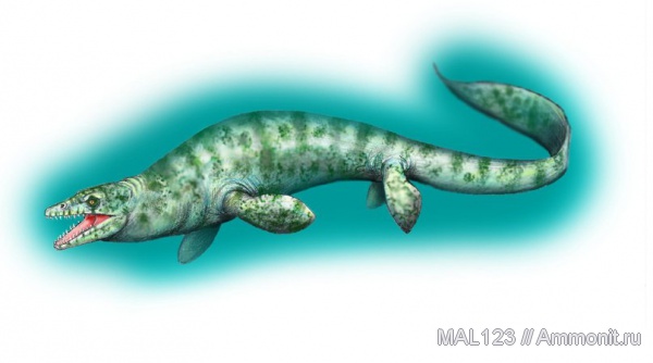 мел, мозазавры, реконструкция, Platecarpus coryphaeus, Platecarpus, Cretaceous