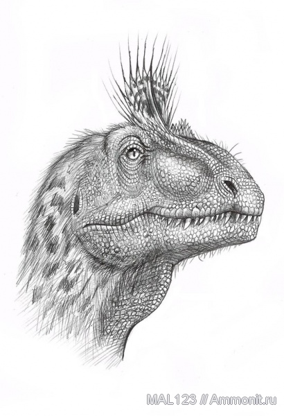 юра, Антарктида, оперение, реконструкция, cryolophosaurus, Jurassic