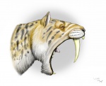 Smilodon fatalis