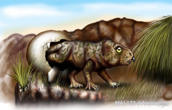 динозавры, мел, Монголия, цератопсы, протоцератопсы, детеныши, Cretaceous