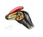 Guanlong wucaii