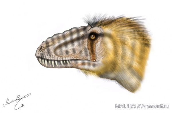 Китай, тираннозавры, Yutyrannus huali