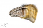 Yutyrannus huali