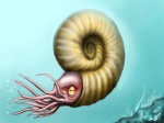 Lomonossovella lomonossovi