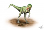 Eotyrannus  lengi