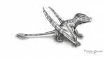 Bellubrunnus rothgaenger