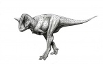 Carnotaurus sastrei