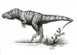 Yutyrannus huali