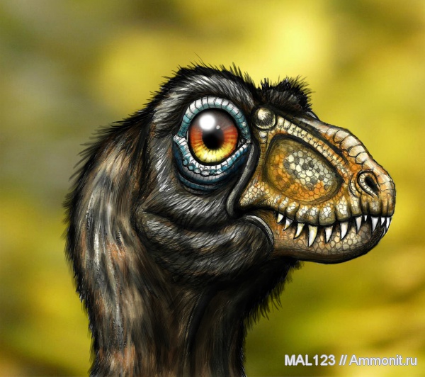 динозавры, Китай, тероподы, детеныши, Yutyrannus huali, Yutyrannus