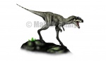 Camarillasaurus cirugedae