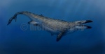 Basilotritus uheni