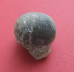 Echinosphaerites sp.