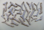 Tabulipora sp.