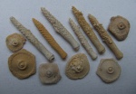 Archaeocidaris rossica