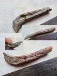 кость на определение кость на определение