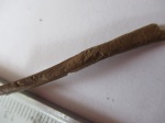 погрызанная кость