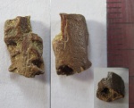 костный фрагмент на определение костный фрагмент на определение