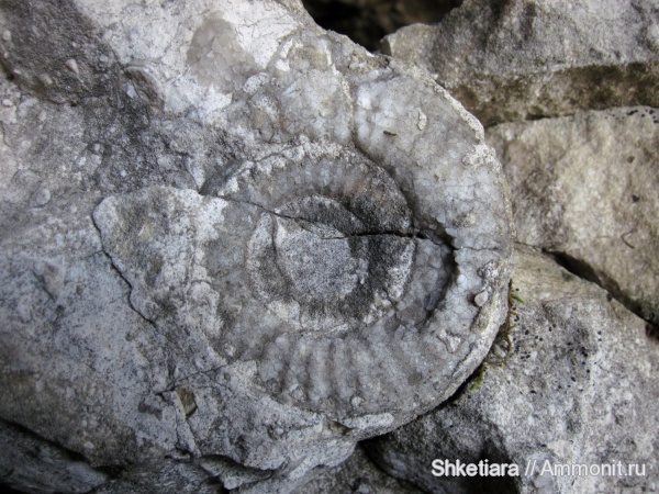 юра, верхняя юра, гора Фишт, Jurassic, Upper Jurassic, пещера