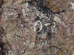 Мысли над фото с Фишта: этюд 1