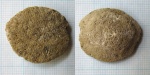 Коралл Thamnasteria sp. (?) Коралл Thamnasteria sp. (?)