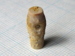 Phosphannulus нового сезона