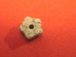 Pentacrinus sp.