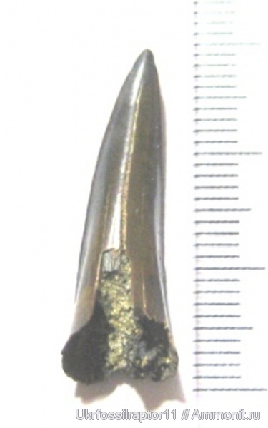 Киев