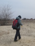 В поисках зубов:)