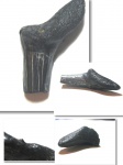 Гигантская Striatolamia macrota Гигантская Striatolamia macrota