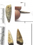 Protospyraena