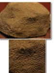 Heliolites
