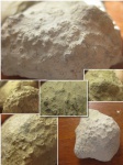 Аулопора на коралле Heliolites
