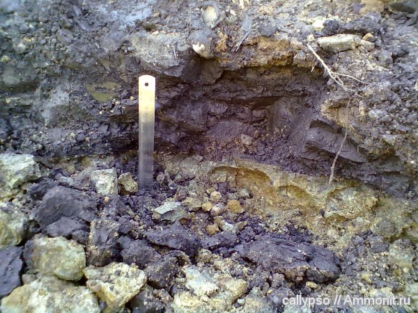оксфорд, келловей, Oxfordian, Callovian, Middle Jurassic