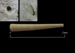 Ядро Dentalium sp.