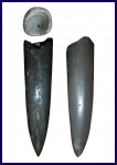 Pachyteuthis cuneata Gust.