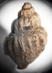 Khetella ?