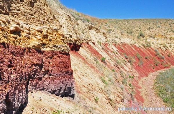 пермь, мел, Cretaceous, Permian